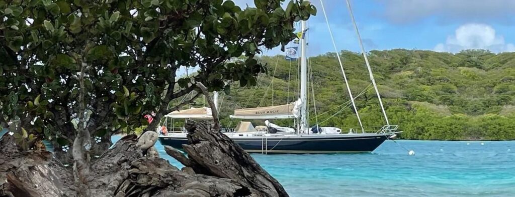 Sailboat named 'Blue Magic' anchored in bright turquoise waters beside a rocky mangrove and green hills in the background.