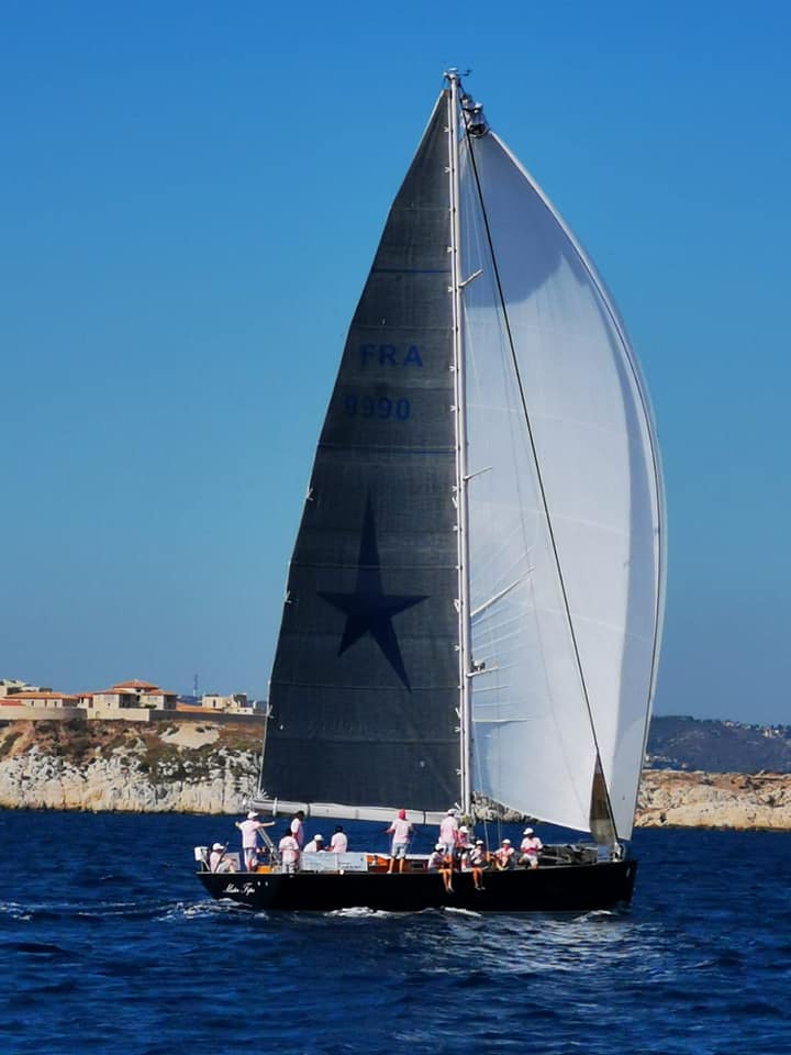 Mr Fips Spinnaker Up